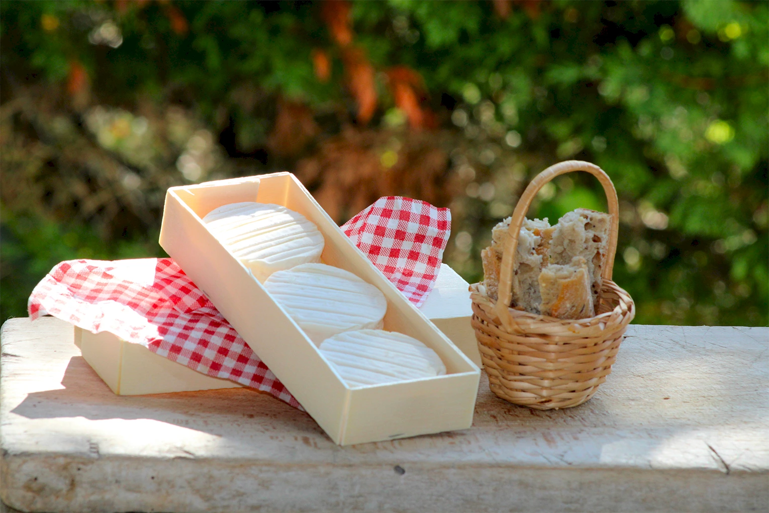 fromage rocamadour