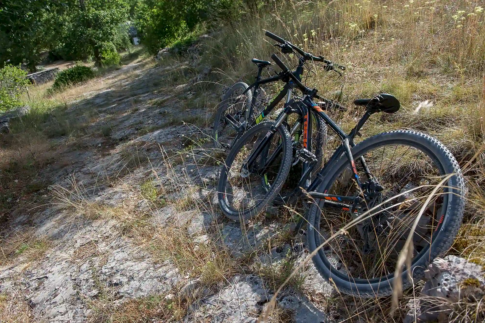 aux lodges du mas le pardais des sportifs dans le lot